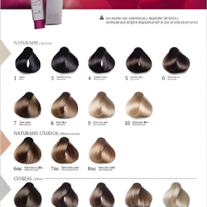 Element Carta De Colores (Impresa)