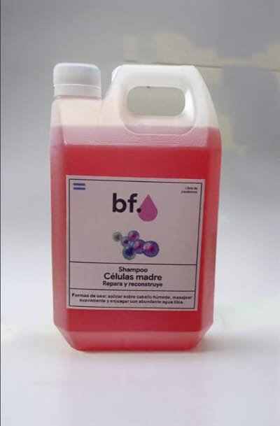 SHAMPOO CELULAS 1 L BF